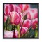 Stupell Industries Pink Tulips Garden Framed Floater Canvas Wall Art Design by Raquel Roth